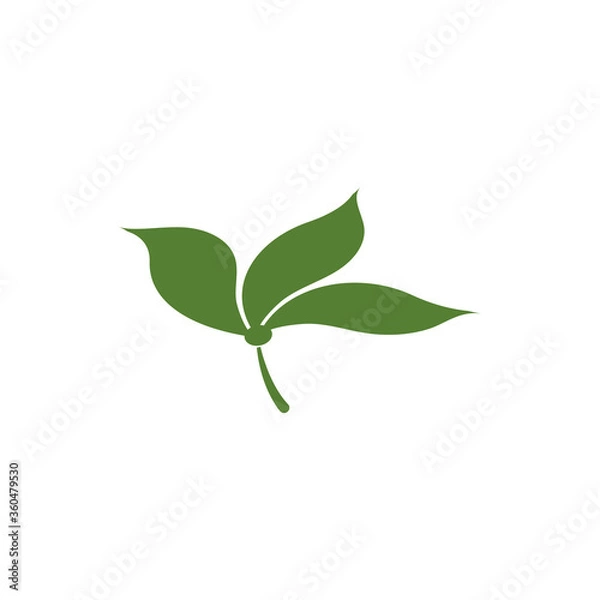 Fototapeta Leaf Logo Template vector symbol