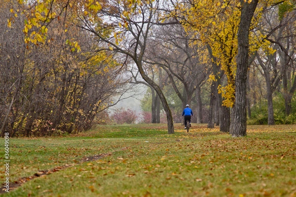 Obraz Autumn in Regina