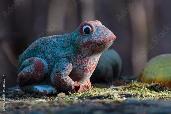 Fototapeta Froschfigur auf Moos