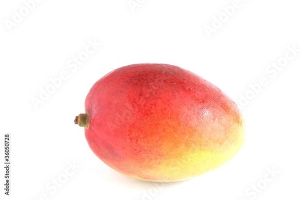 Obraz mango