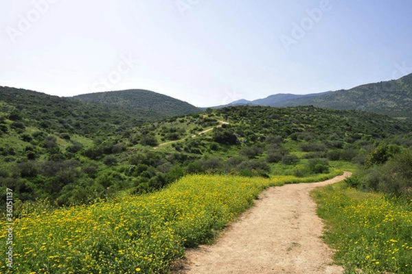 Obraz Hiking trail in Upper Galilee, Israel.