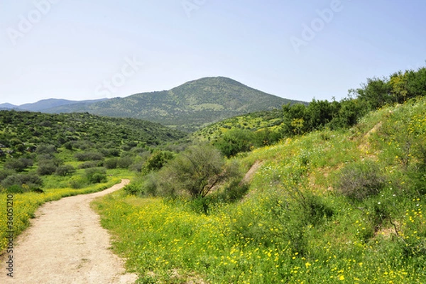 Obraz Miron mountain in Upper Galilee, Israel.
