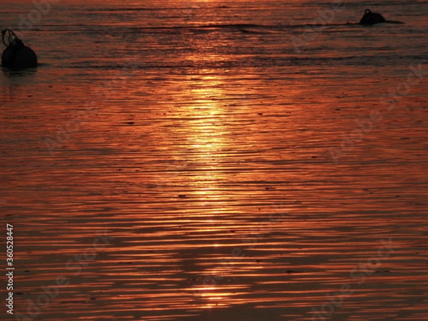 Fototapeta Couché de soleil