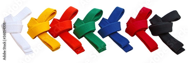 Fototapeta Pasy Tae Kwon Do