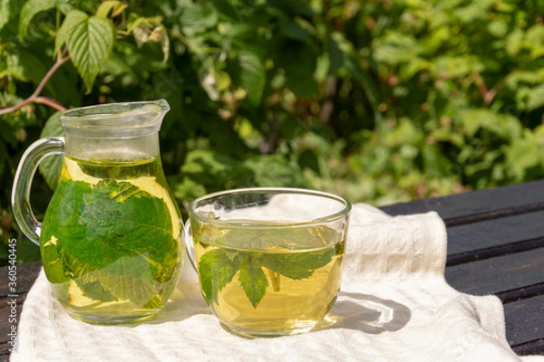 Fototapeta on an old wooden table covered with a white tablecloth, there is a transparent jug and a cup of green tea and blackcurrant and mint leaves
