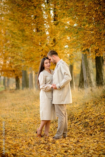 Fototapeta Young couple in love holding hands and walking through a park on a sunny autumn day
