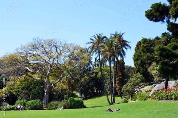 Obraz Spring in Sydney, Australia