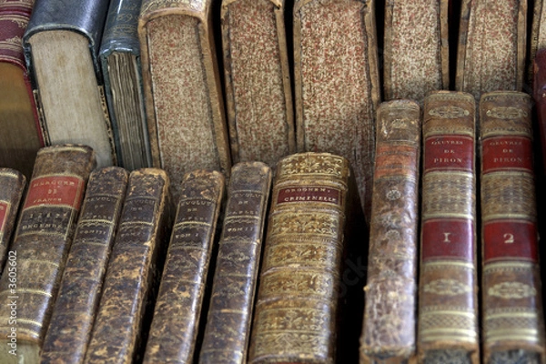 Fototapeta Classical French antique books paris france