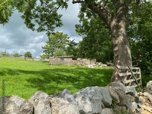 Fototapeta Derelict building in a field, surrounded by a dry stone wall in, Kildwick, Keighley, UK