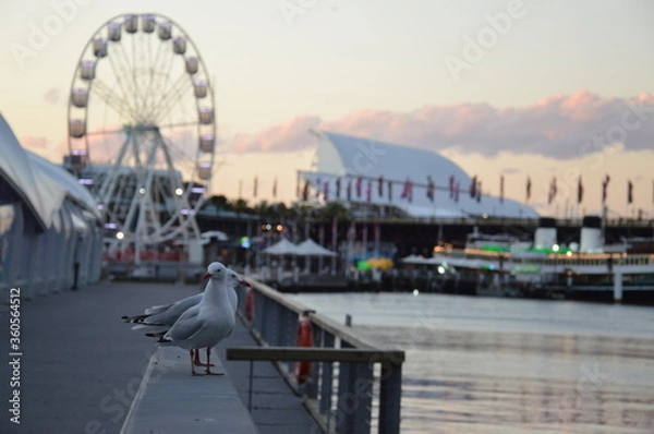 Obraz Sunset in Sydney, Australia