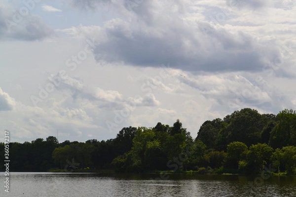 Obraz Goose Creek  Park