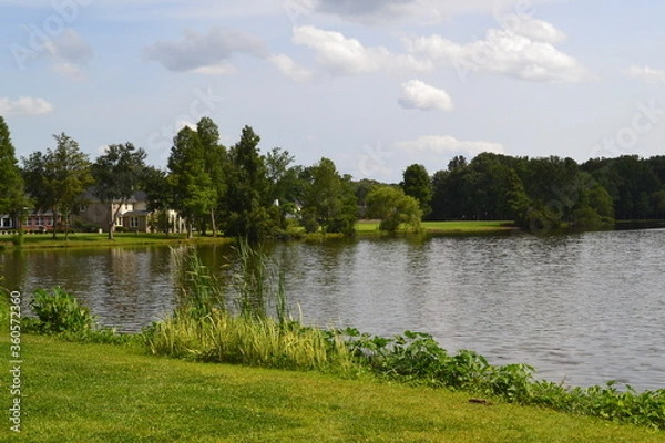 Obraz Goose Creek  Park