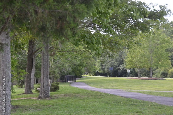 Obraz Goose Creek  Park