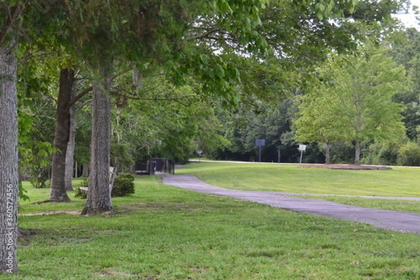 Obraz Goose Creek  Park