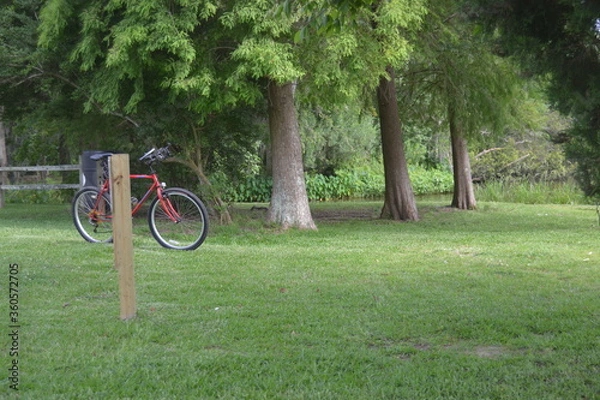 Obraz Goose Creek  Park