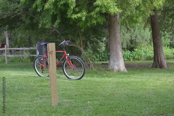 Obraz Goose Creek  Park