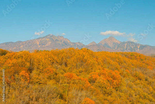 Obraz 八ヶ岳高原大橋から見た紅葉の八ヶ岳