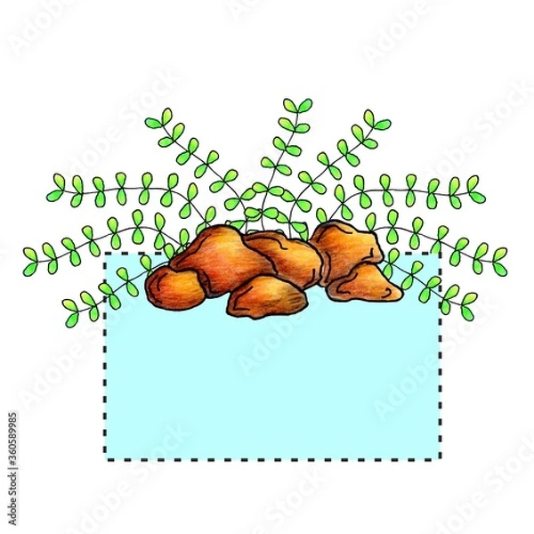 Fototapeta blue rectangular frame with algae and stones