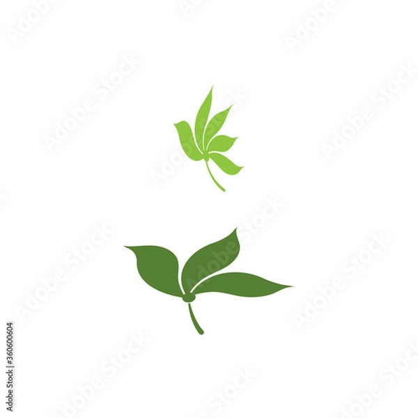 Fototapeta Leaf Logo Template vector symbol