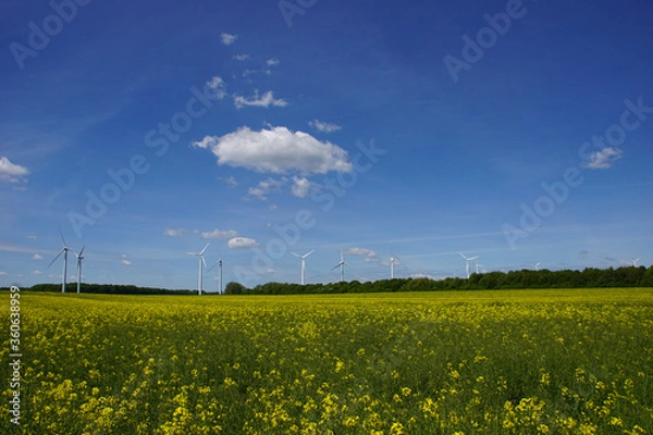 Obraz Landschaft mit Rapsfeld und Windrändern 