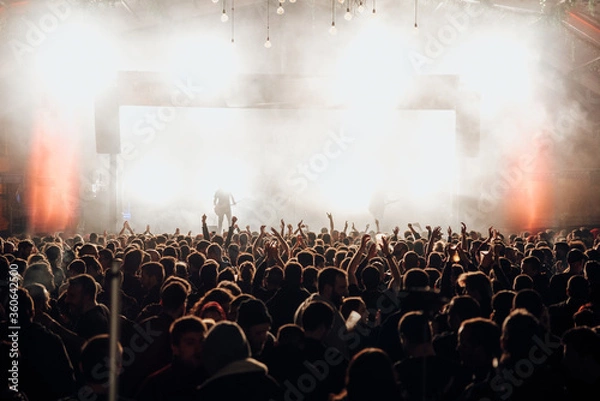 Fototapeta Crowd of people dancing at a night music show