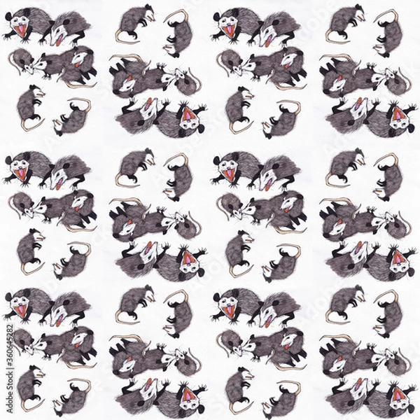 Obraz seamless pattern with opossums
