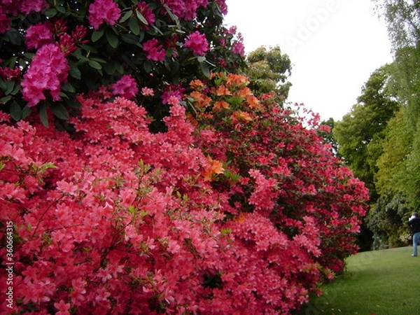 Obraz DIGITAL CAMERA