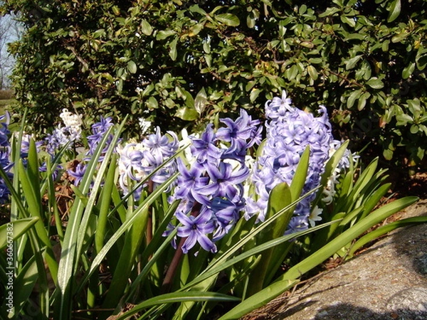 Obraz DIGITAL CAMERA