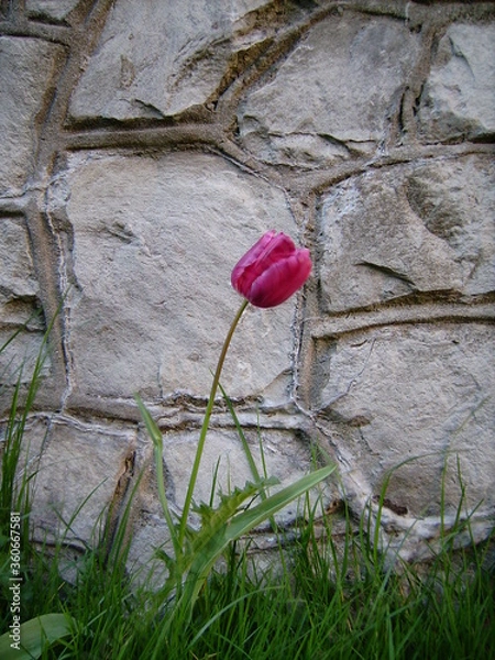 Obraz DIGITAL CAMERA