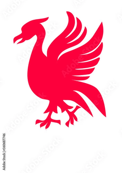 Fototapeta vector illustration of a red liver bird