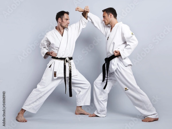 Obraz Karate vs Taekwondo, Partnertraining 04