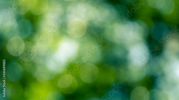 Obraz green bokeh abstract background