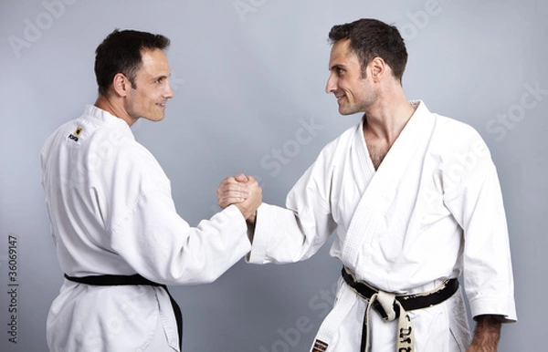 Obraz Karate vs Taekwondo, Gegenüberstellung 4