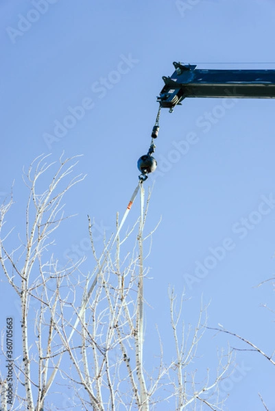 Fototapeta crane lifting tree