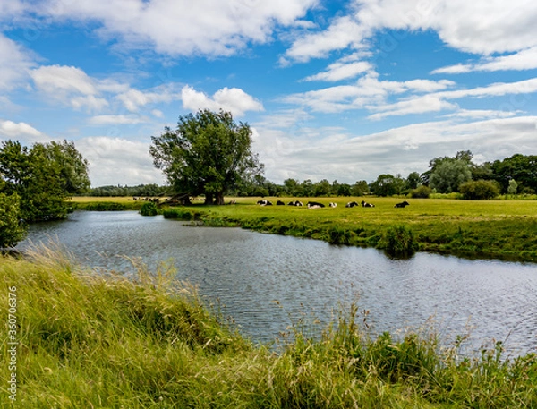 Obraz landscape with river and blue sky