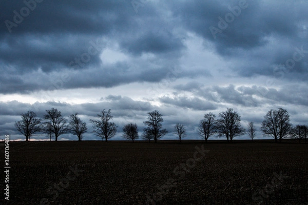 Fototapeta Dark Clouds over trees