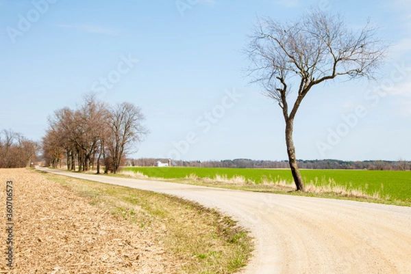 Fototapeta Curved Road