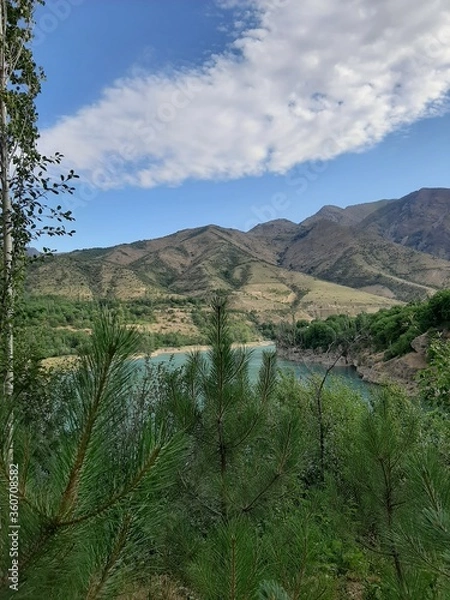 Fototapeta mountain nature