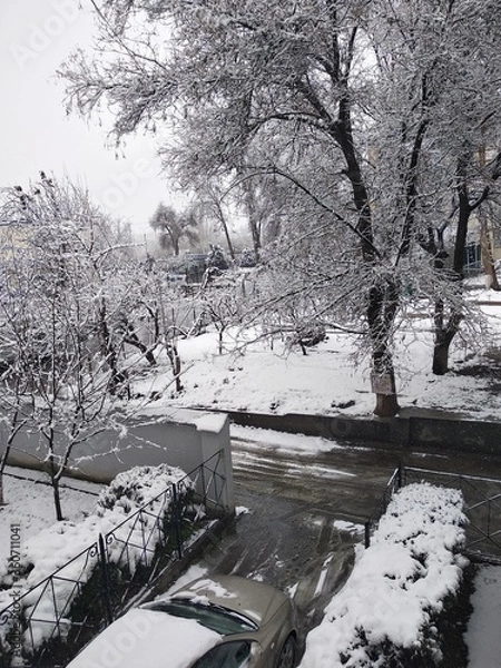 Obraz winter in the park