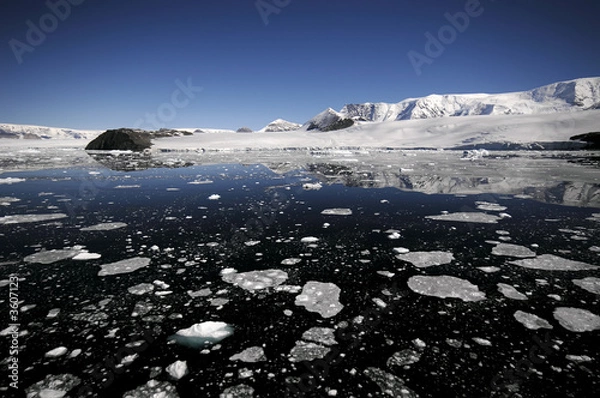 Fototapeta Antarctic coast