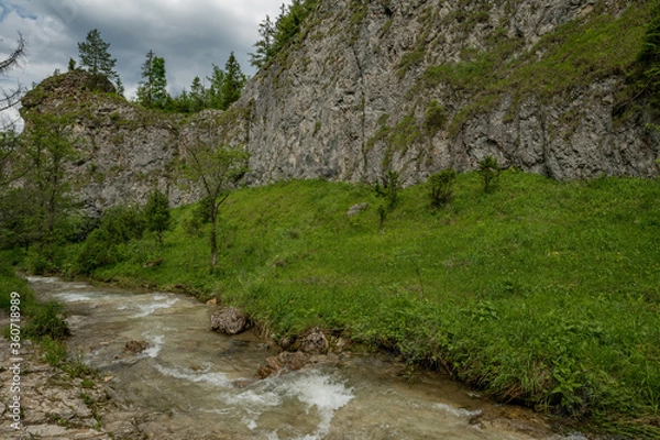 Fototapeta river in the mountains