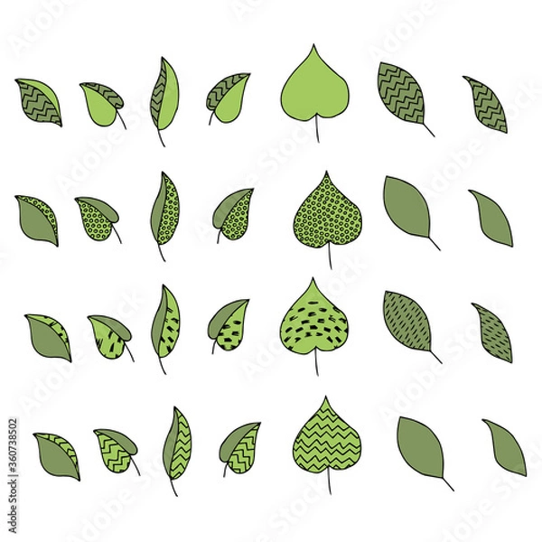Obraz green leaves of wood set in isolation handmade