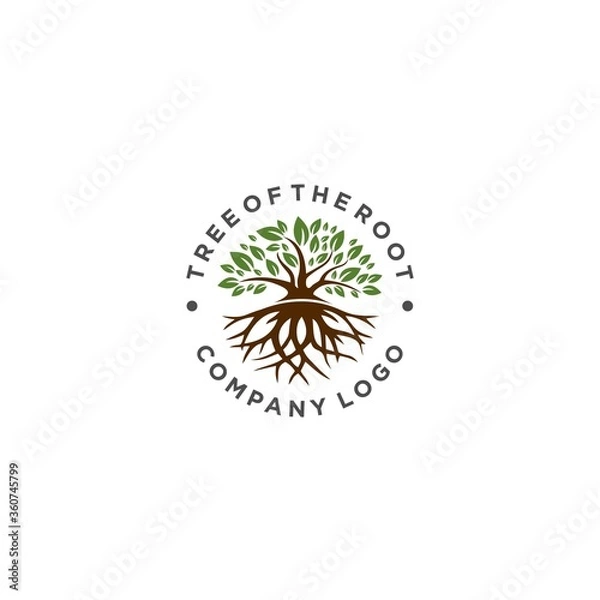 Fototapeta Tree With Root Logo Design