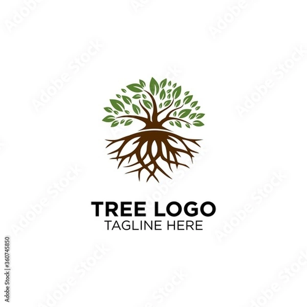 Fototapeta Tree With Root Logo Design