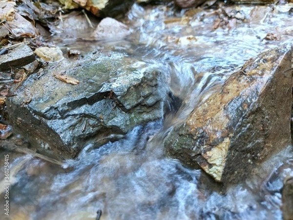 Fototapeta A small stream flows naturally through a large forest.