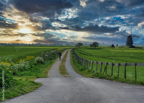 Obraz beautiful Dutch  spring sunset sky