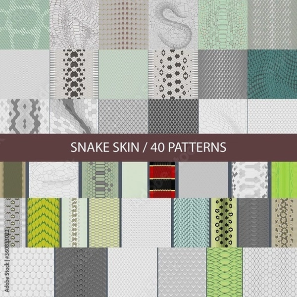 Obraz collection of vector seamless snake skin textures