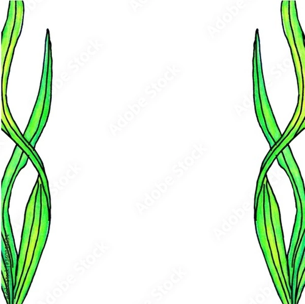 Fototapeta square frame with green algae on the edgessquare frame with green algae on the edges