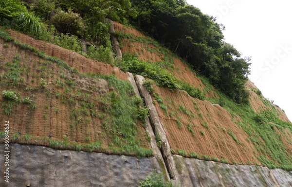 Obraz 山道の法面保護工事