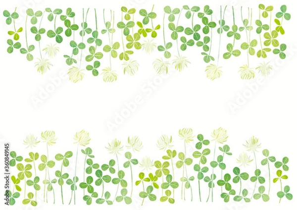 Obraz クローバー シロツメクサ 並び（水彩）